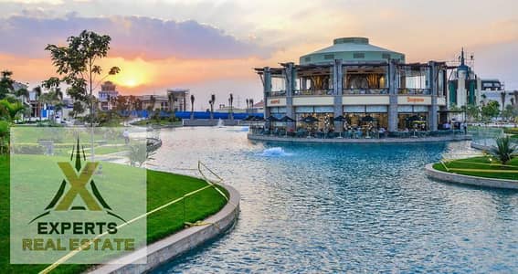 Restaurant & Cafe for Sale in Madinaty, Cairo - 30E0F6CE-36AF-43B3-A7A4-0131FE9488FB. jpeg Restaurant & Cafe for Sale in Madinaty, Cairo - 30E0F6CE-36AF-43B3-A7A4-0131FE9488FB. jpeg