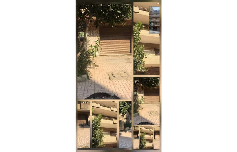 6 019c7063-7ef6-430e-8ef6-28f5f512c679. jfif. jpg