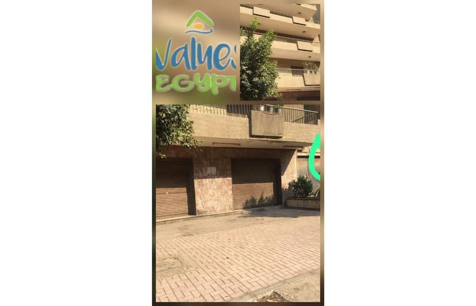 8 248c8881-2a6b-42b0-a90b-333481821c1c. jfif. jpg