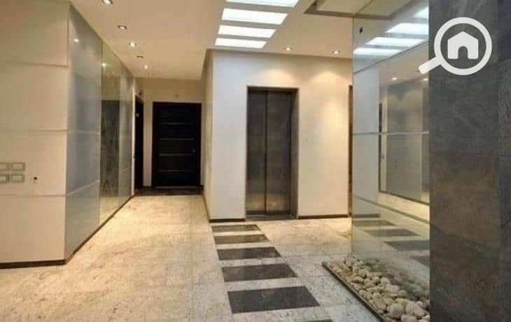 5 large-2933680075608423195. jpg