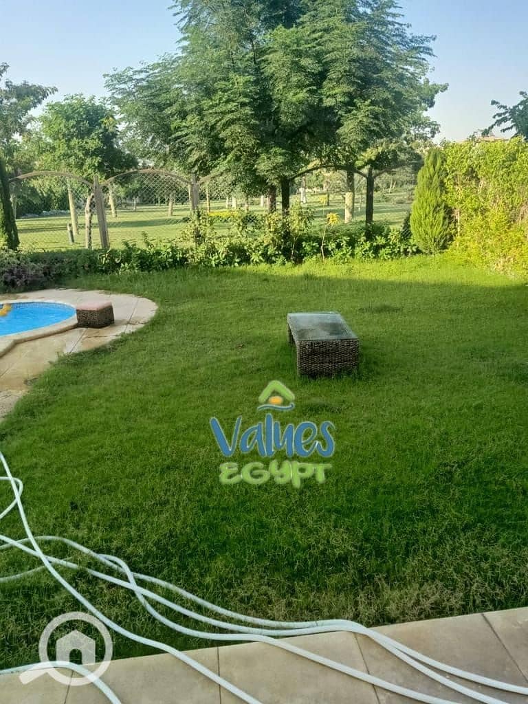 29 WhatsApp Image 2026-01-01 at 3.42. 12 PM (1). jpeg