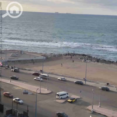 2 Bedroom Apartment for Rent in Miami, Alexandria - 1000282717. jpg