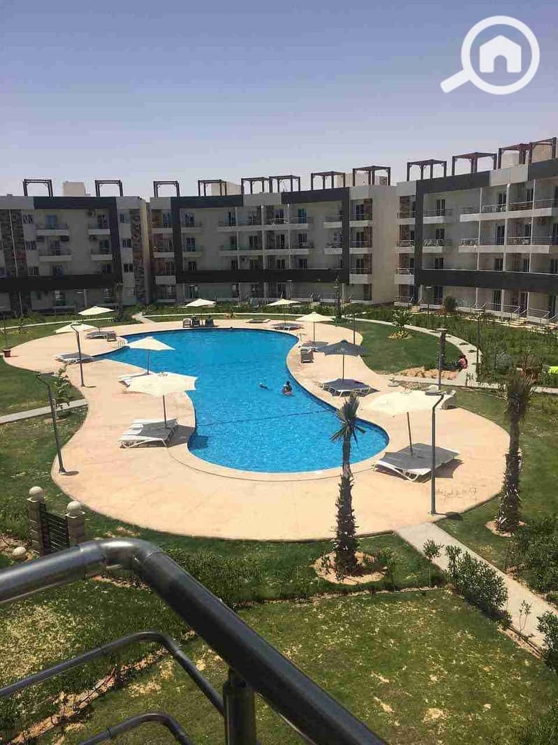 1000438005. jpg 1000438005. jpg