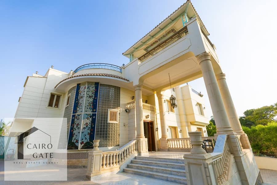 13 631a19b1-dee2-4120-88ea-ab9c7f049d3b. jpg