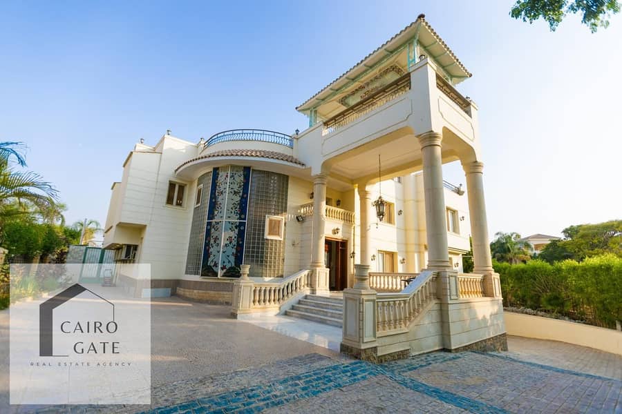 17 8168da8d-6239-4b6d-a39b-657b0b480b13. jpg