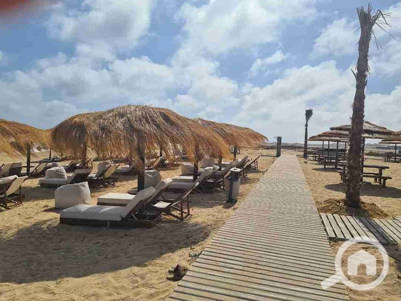 7 FB_IMG_1730418908899. jpg