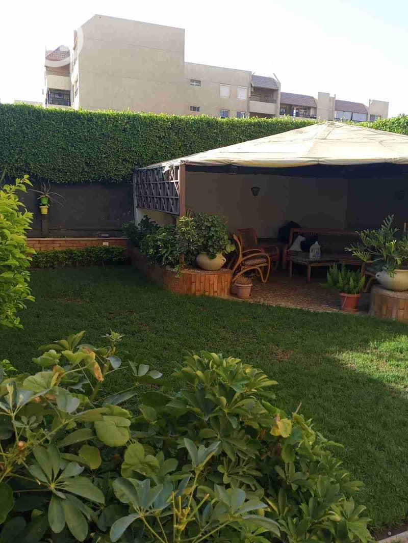 1000472005. jpg 1000472005. jpg