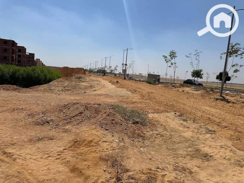 3 593966325_122186985158501506_291617367737037472_n. jpg