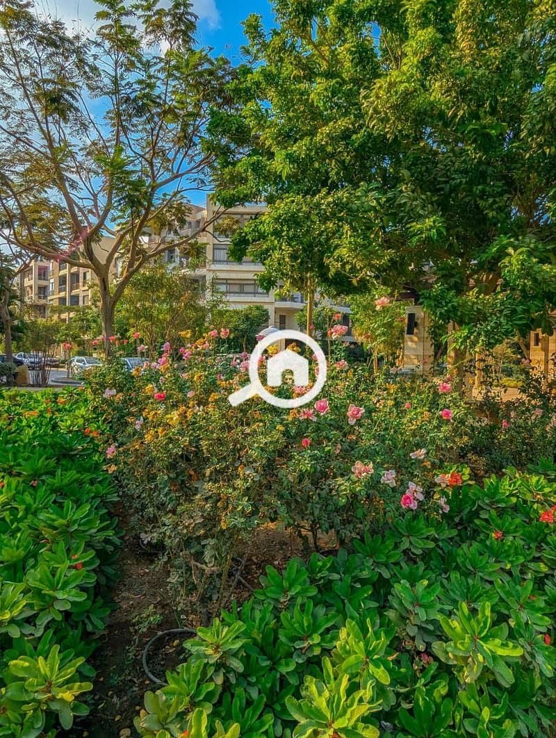 9 WhatsApp Image 2024-11-23 at 20.41. 29_349cca83. jpg