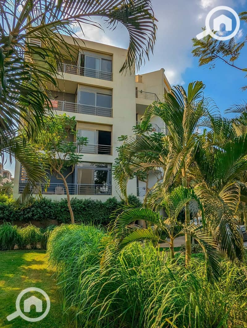 10 WhatsApp Image 2024-11-23 at 20.41. 28_f46d1ea5. jpg