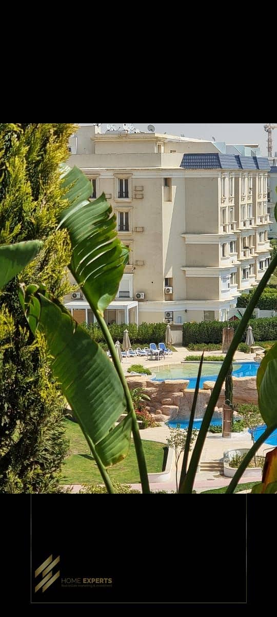 11 8907f715-3be4-4abc-9cee-124b5e3db468. jpg