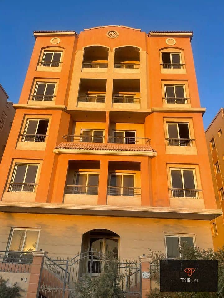 4 607661131_4302445119970169_1234567508192555502_n. jpg