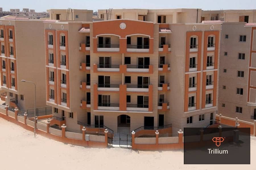 5 606016995_4302445066636841_3960871006538679146_n. jpg