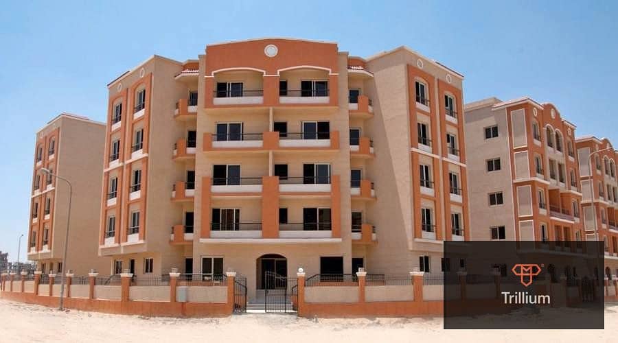 6 605500676_4302446893303325_199491153678427378_n. jpg