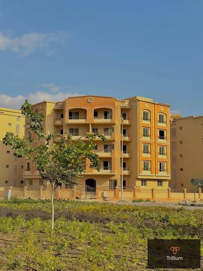 2 Bedroom Flat for Sale in Hadayek October, Giza - 598937536_25318470554479157_6030092910159739513_n. jpg