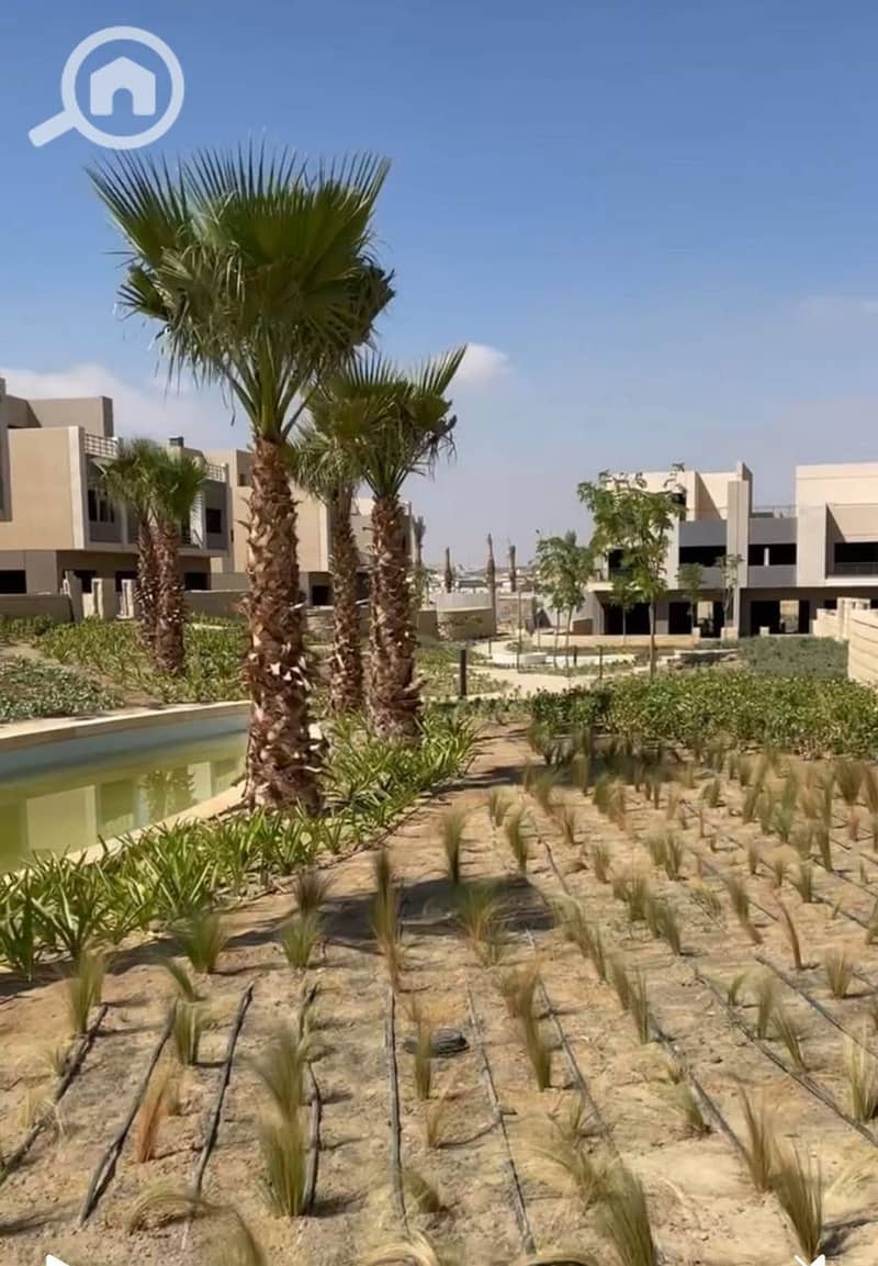 3 photo_2026-01-03_01-58-59. jpg