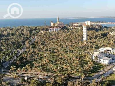 شقة 3 غرف نوم للايجار في المندرة، الإسكندرية - 1000244126. jpg