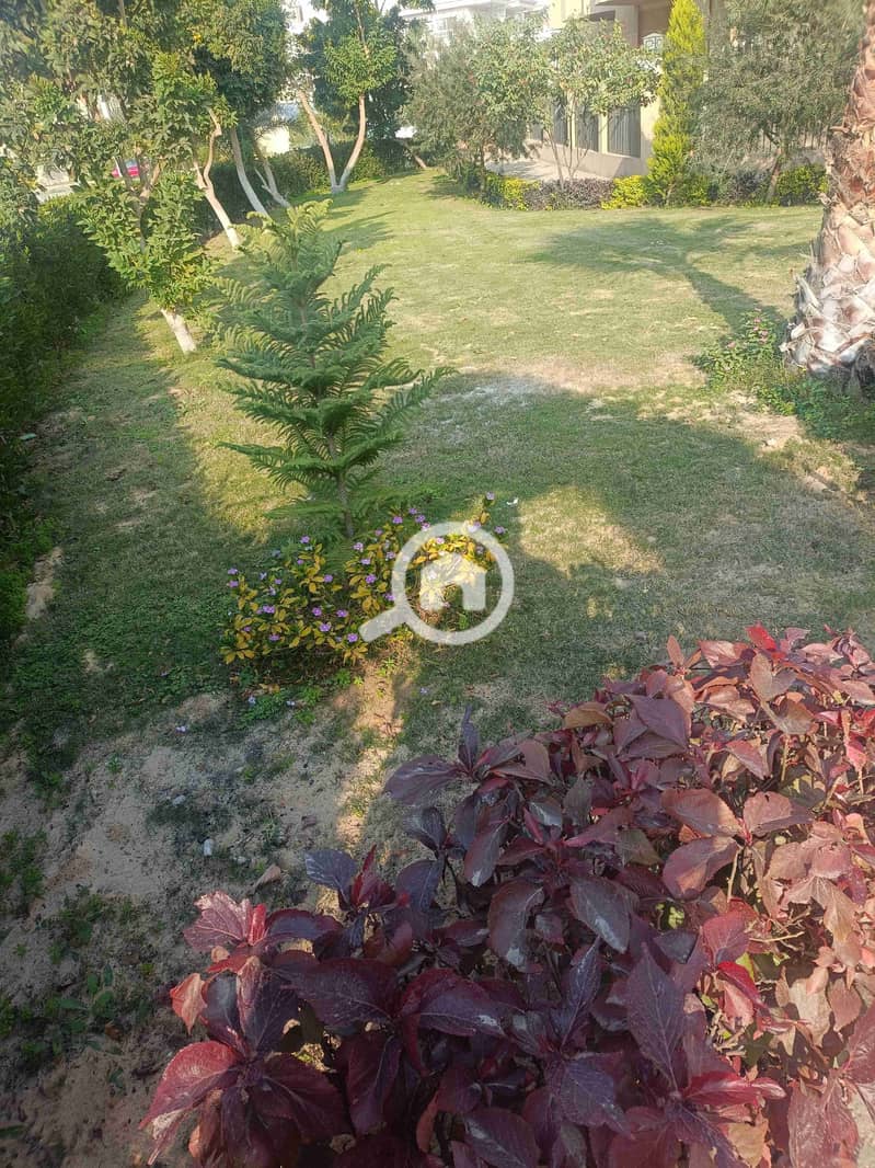 1000385104. jpg 1000385104. jpg