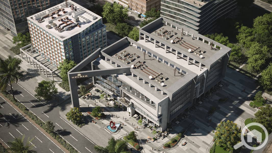 3 CAM03-BIRD. RGB_color. 0000 copy. jpg