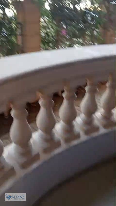 31 WhatsApp Image 2026-01-03 at 11.41. 07 AM. jpeg