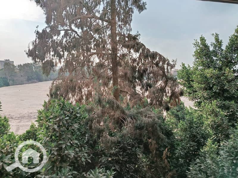 8 7e9aa953-acdf-4b99-92f1-06c1445dd468. jpeg