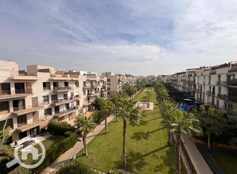 5 86bc5c90-7b9f-4197-afb8-698ad02c73ff. jpg