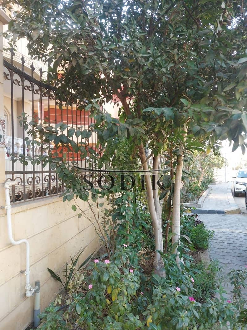 5 WhatsApp Image 2025-12-18 at 4.13. 51 PM. jpeg