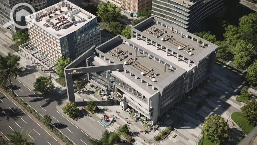 3 CAM03-BIRD. RGB_color. 0000 copy. jpg