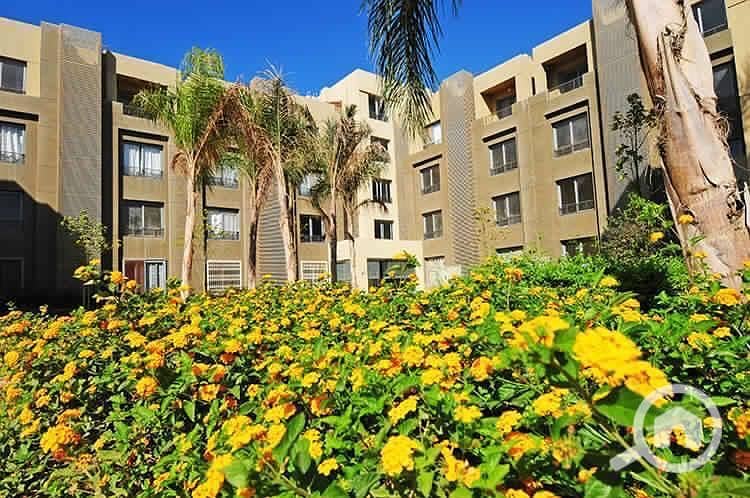 11 WhatsApp Image 2025-12-23 at 3.17. 51 PM (5). jpeg