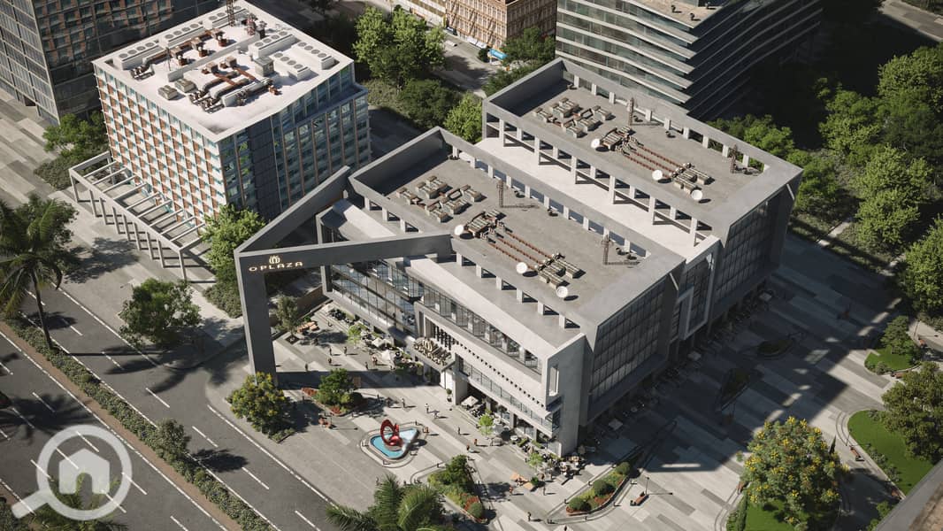 3 CAM03-BIRD. RGB_color. 0000 copy. jpg