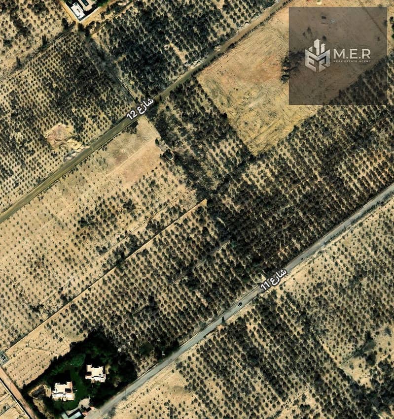 4 IMG-20251211-WA0281. jpg