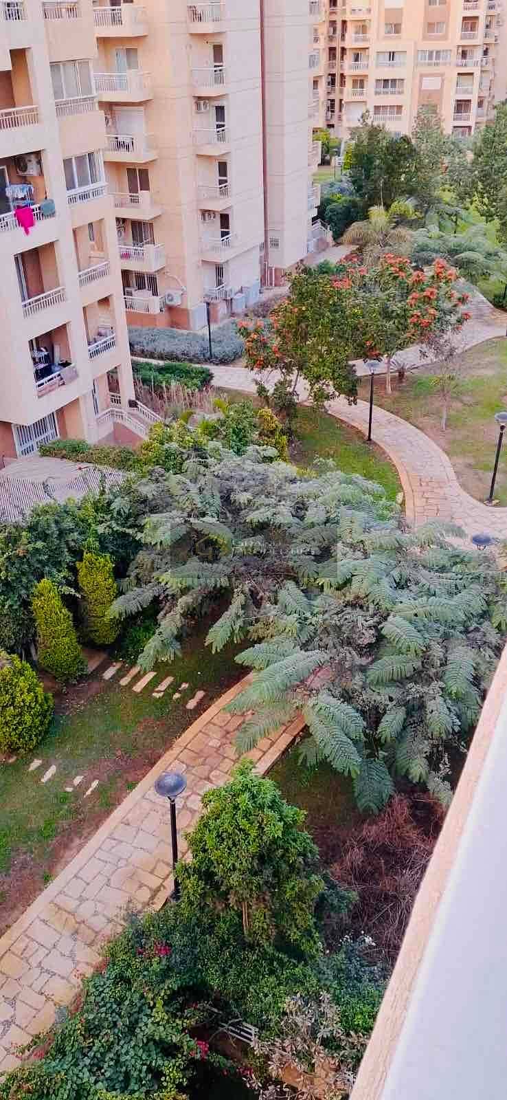 3 e349977e-180d-41fe-bf93-fc05b4b90c4e. jpg