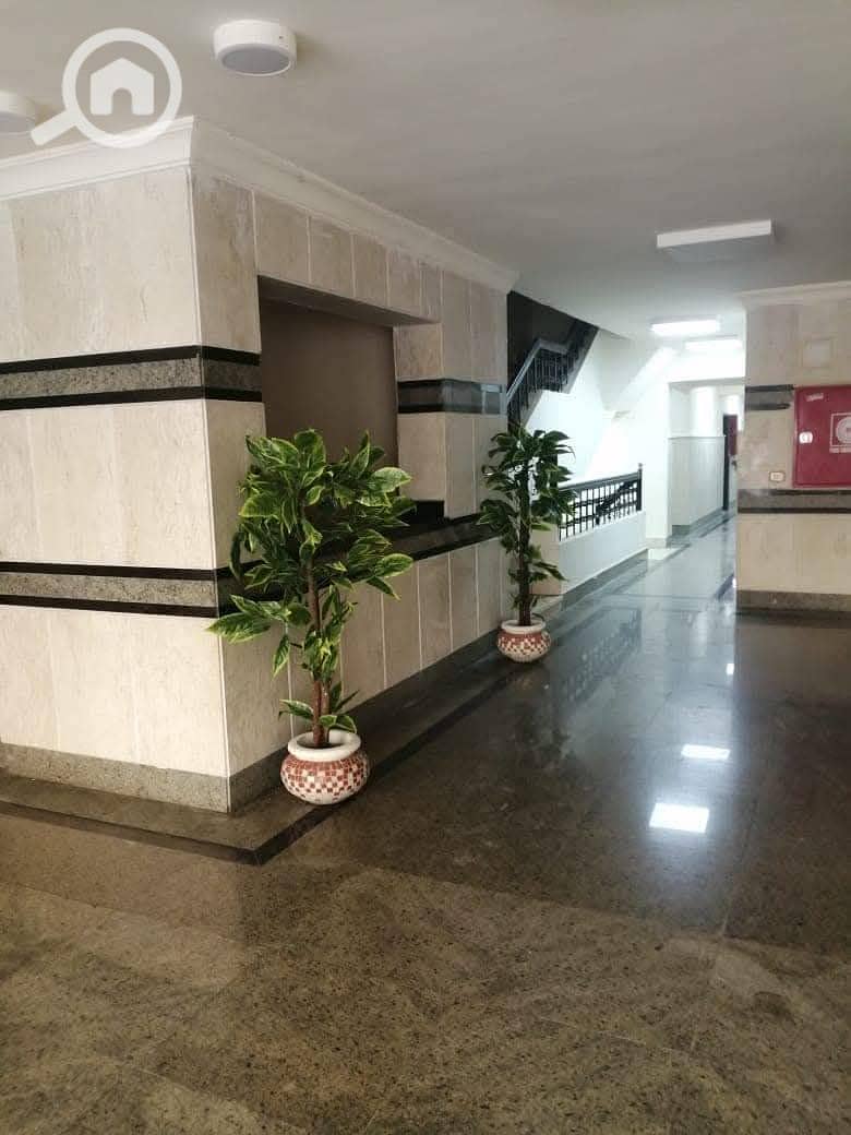 8 WhatsApp Image 2026-01-03 at 1.17. 32 PM (2). jpeg