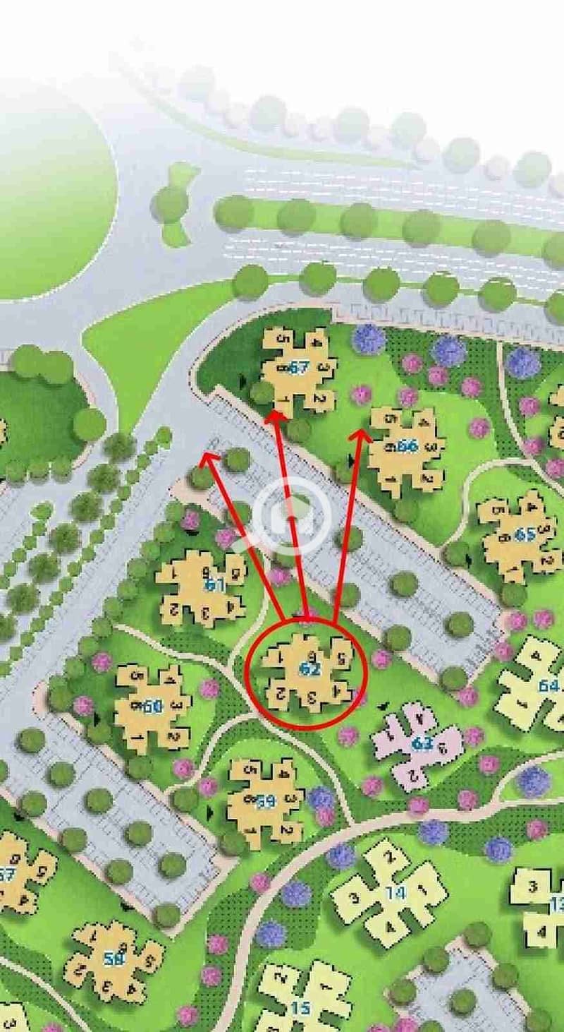 1000257868. jpg 1000257868. jpg