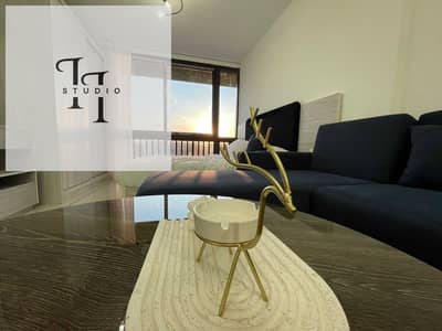 1 Bedroom Flat for Rent in New Cairo, Cairo - image (5). png