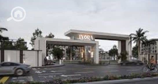 8 Screenshot 2026-01-03 113732. jpg