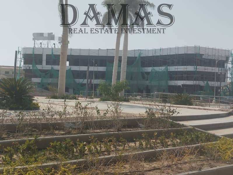 8 WhatsApp Image 2026-01-03 at 10.32. 49. jpeg