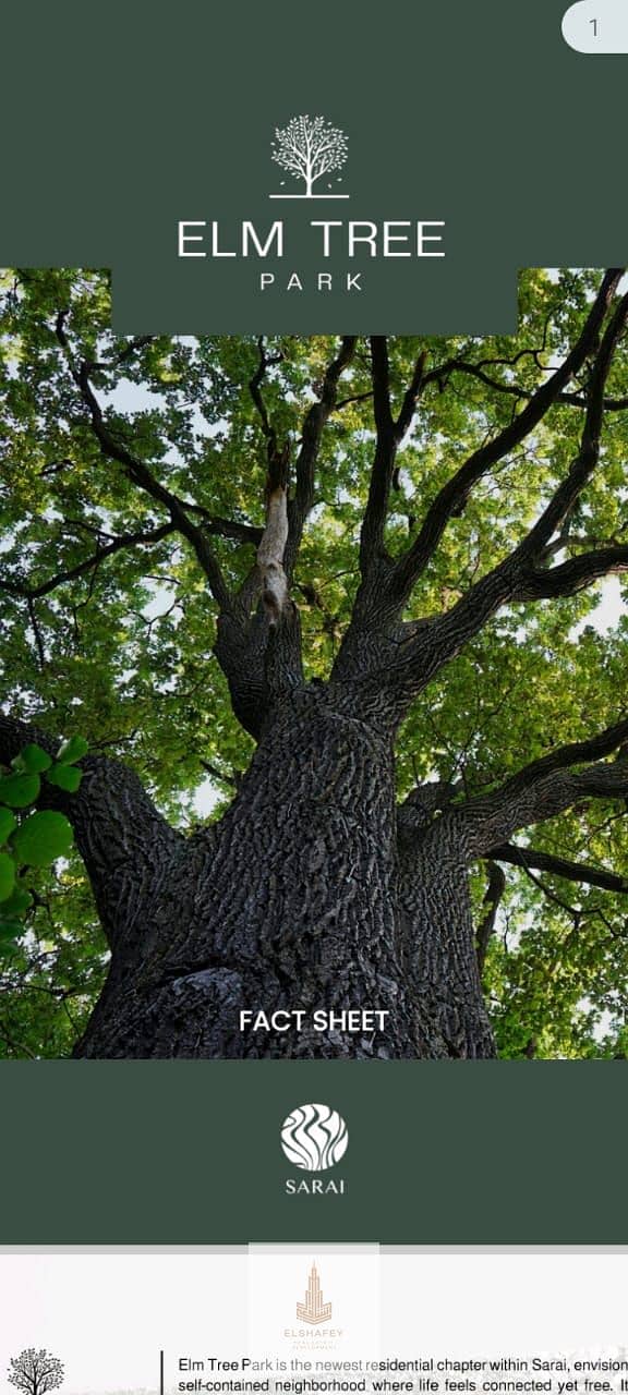 8 WhatsApp Image 2025-12-28 at 1.34. 31 PM (3). jpeg