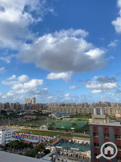 3 Bedroom Apartment for Sale in Smoha, Alexandria - WhatsApp Image 2026-01-03 at 2.15. 22 AM. jpeg 3 Bedroom Apartment for Sale in Smoha, Alexandria - WhatsApp Image 2026-01-03 at 2.15. 22 AM. jpeg