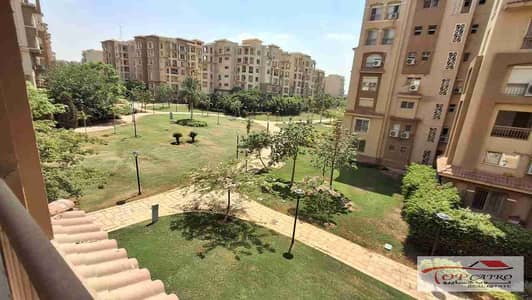 3 Bedroom Flat for Rent in Madinaty, Cairo - 1000838489. jpg