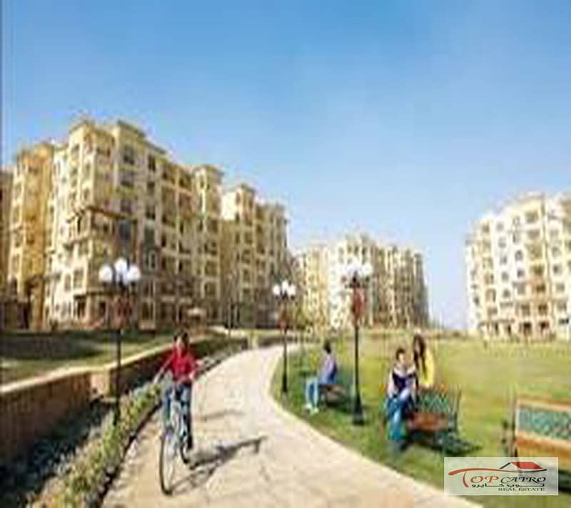 7 images_900x800. jpg