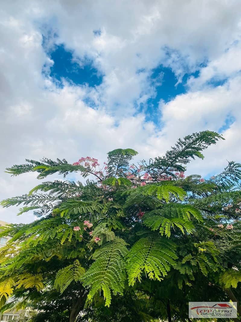 16 IMG-20251106-WA0264. jpg