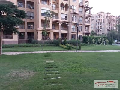 3 Bedroom Apartment for Sale in Madinaty, Cairo - WhatsApp Image 2025-12-25 at 6.54. 20 PM. jpg