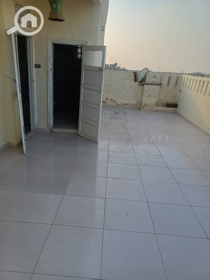 13 499b2e24-5bc0-4ccc-b3d4-3dc0a8f6ef6e. jpg