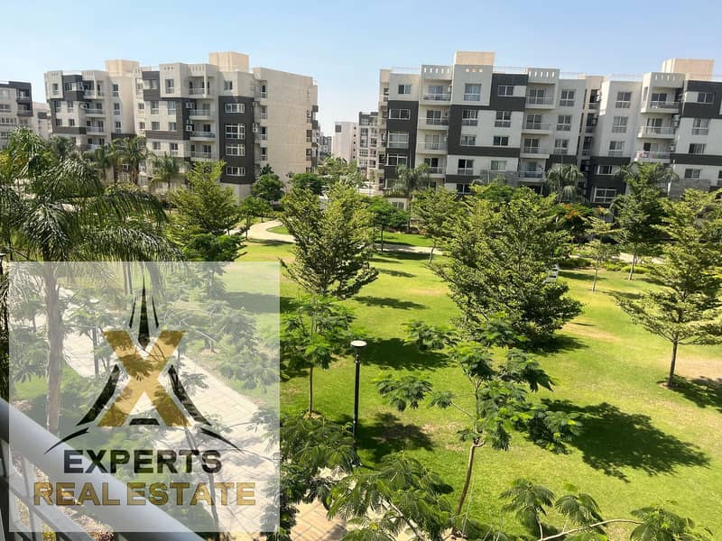 3 WhatsApp Image 2025-02-17 at 11.23. 48 AM. jpeg