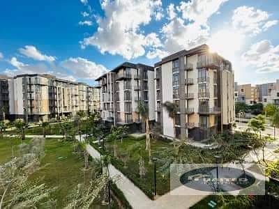 3 03277e33-64de-4579-9528-e5f02fc1bb7c. jpg