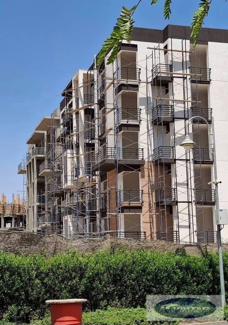 3 WhatsApp Image 2026-01-03 at 15.54. 51. jpeg