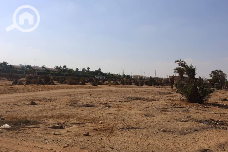 2 WhatsApp Image 2025-11-01 at 12.44. 00_bedb1aab. jpg