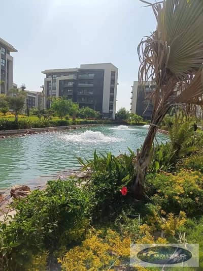 3 Bedroom Apartment for Rent in Madinaty, Cairo - IMG_1942. JPG