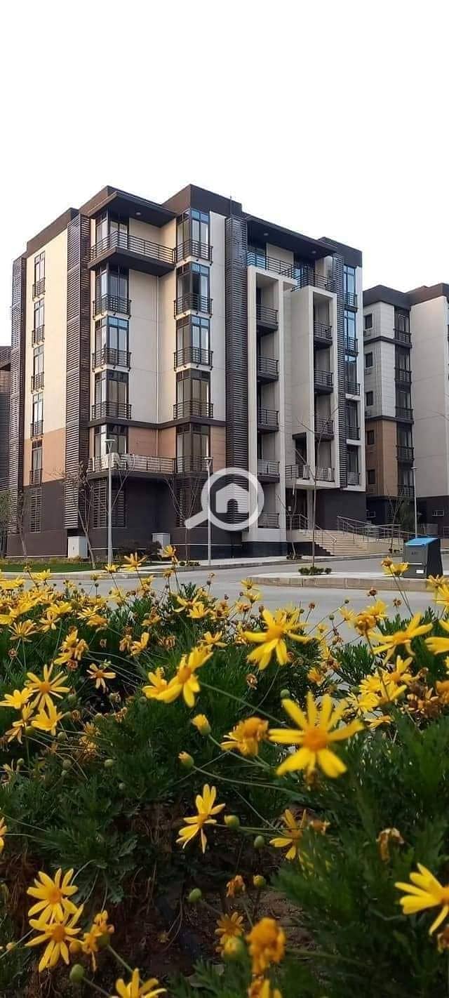 3 398189015_24024669480513165_3915194268924456092_n. jpg